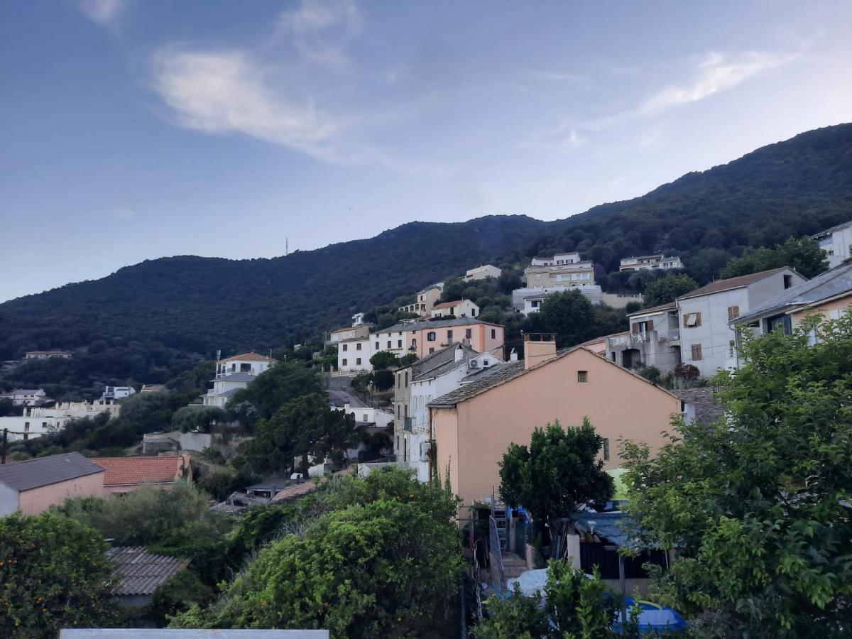 Apartamento Jc 15 San-Martino-di-Lota Exterior foto